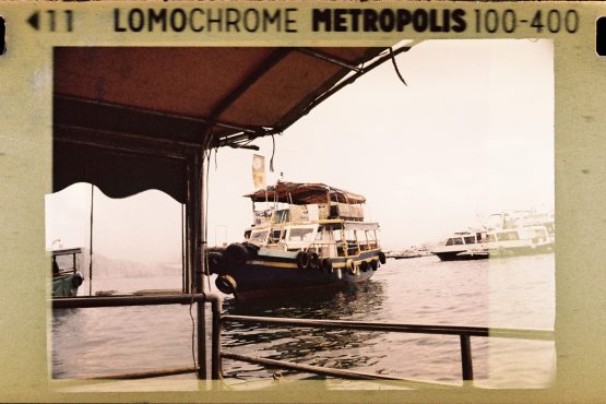 LomoChrome Metropolis 110