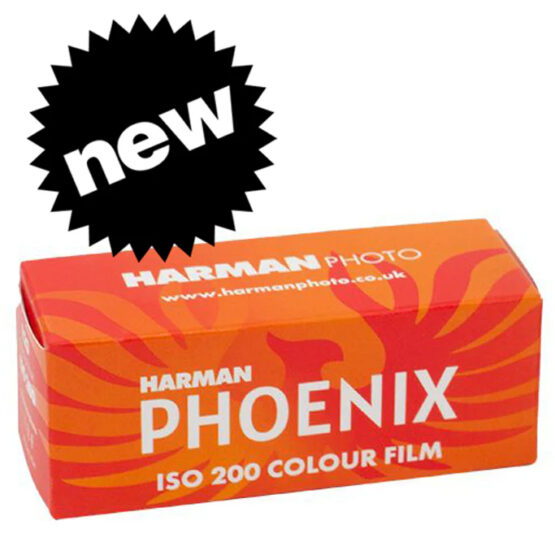 Harman Phoenix 200 120 film