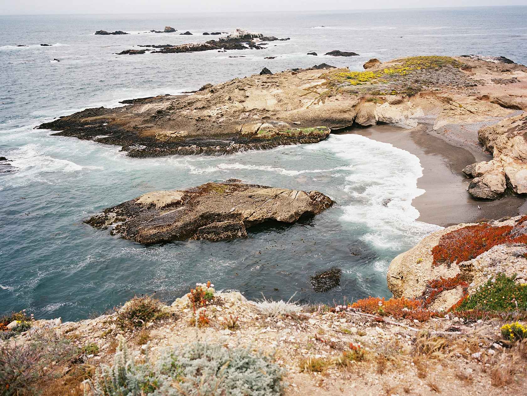 kodak-ektacolor-film-pro-160-sample-image-cove
