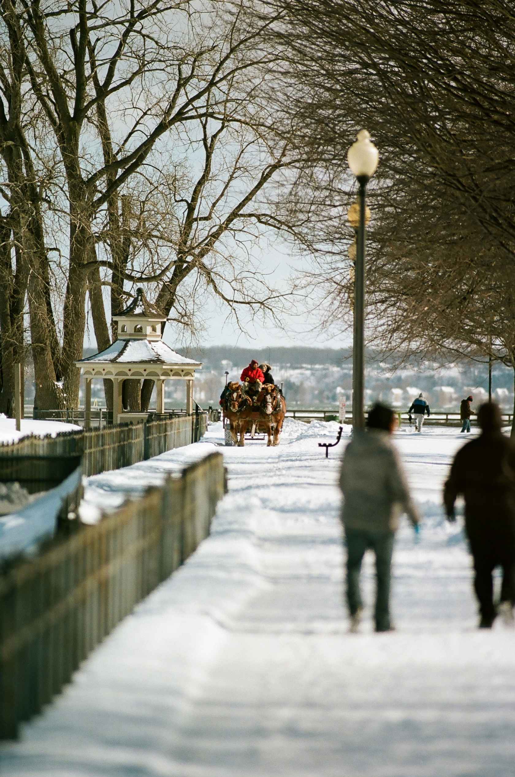 kodak-ektacolor-film-pro-160-sample-image-winter