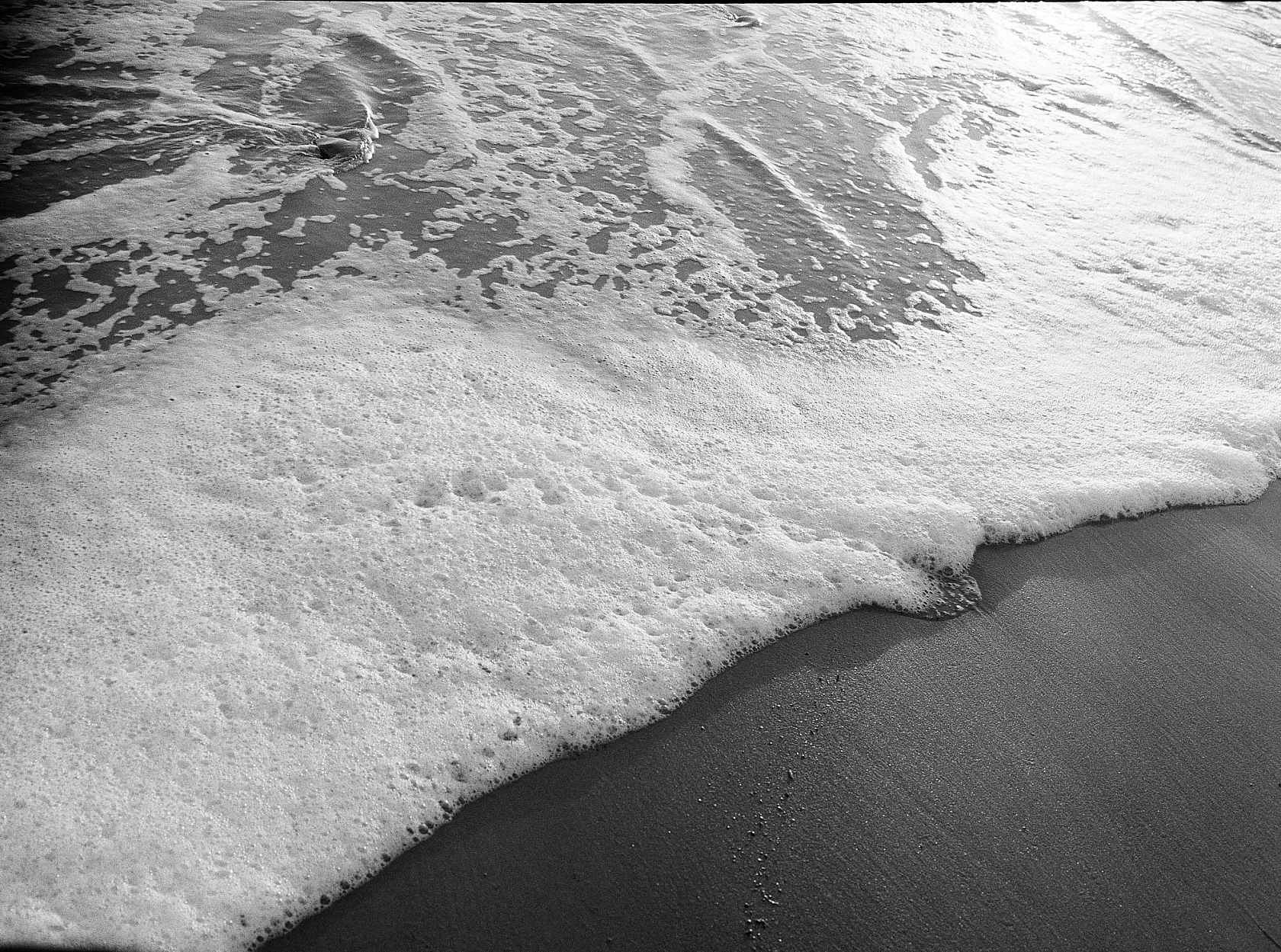kodak-tri-x-film-sample-image-shoreline