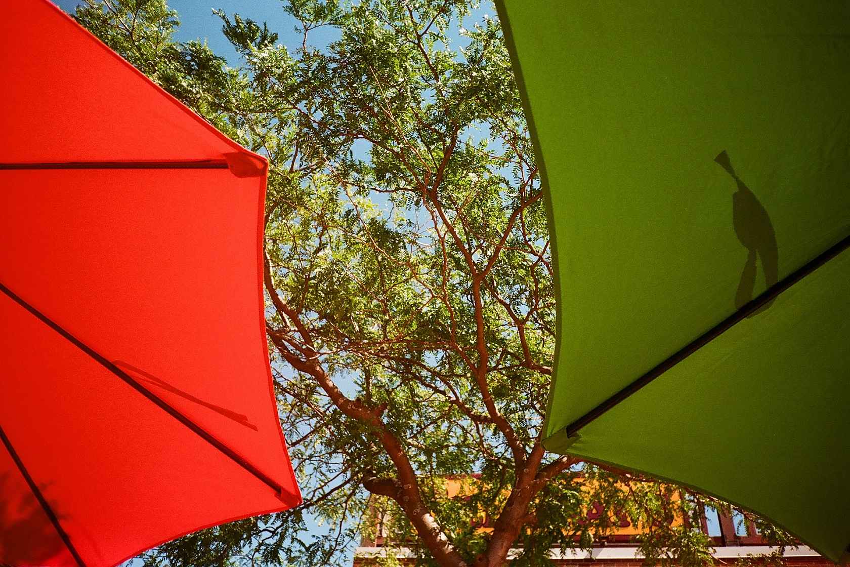 sample-image-gold-200-umbrella