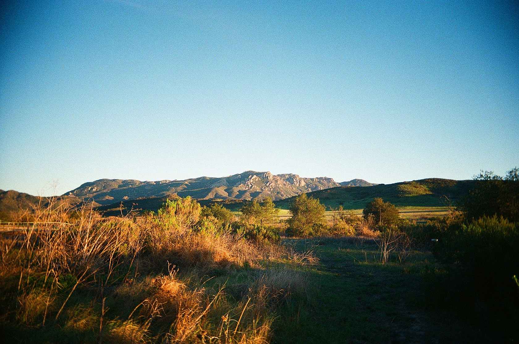 ample-image-ultramax-400-landscape